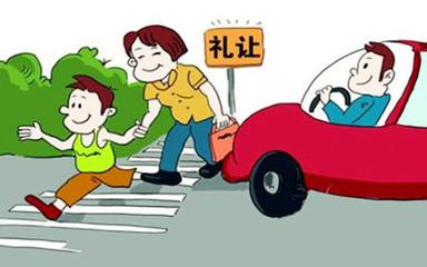 機動車未禮讓行人的處罰規定與安全責任